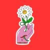 Holding a Daisy Sticker