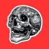 Hatch Human Skull Sticker