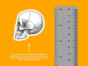 Hatch Drawn Skull Sticker