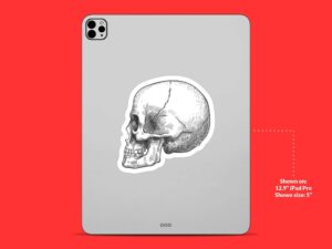 Hatch Drawn Skull Sticker
