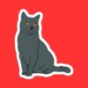 British Shorthair Cat Sticker