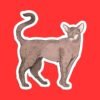 Oriental Shorthair Cat Sticker