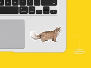 Maine Coon Cat Sticker
