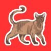Burmese Cat Sticker
