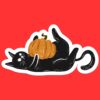 Black Cat Pumpkin Sticker