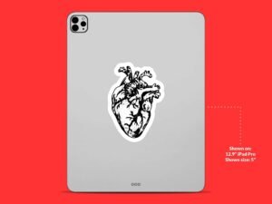 Anatomical Heart Sticker