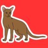 Abyssinian Cat Sticker