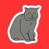 British Shorthair Cat Sticker