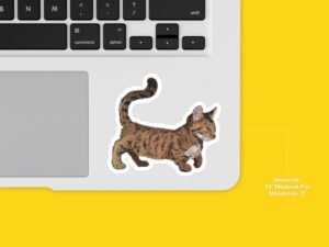 Dwarf Cat Sticker