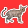 Devon Rex Cat Sticker