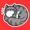 Cat Middle Finger Sticker