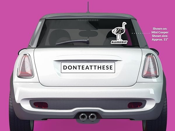 Allegedly-Letterkenny-Sticker-B0D1SZGT7R-5