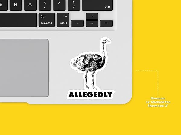 Allegedly-Letterkenny-Sticker-B0D1SZGT7R-7