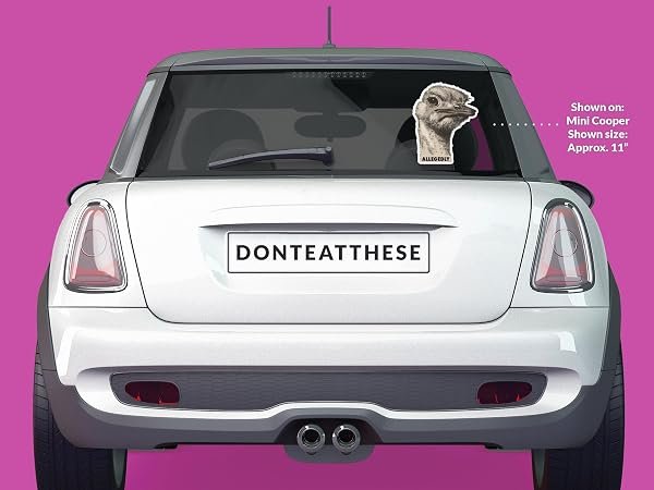 Allegedly-Ostrich-Letterkenny-Sticker-B0D1T8SSWG-5