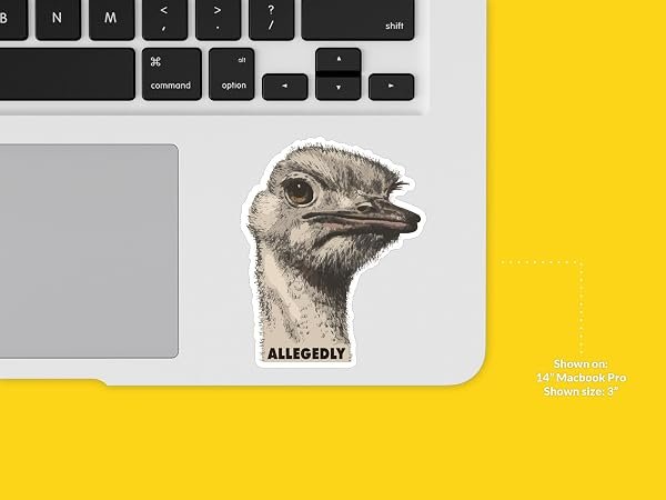 Allegedly-Ostrich-Letterkenny-Sticker-B0D1T8SSWG-7