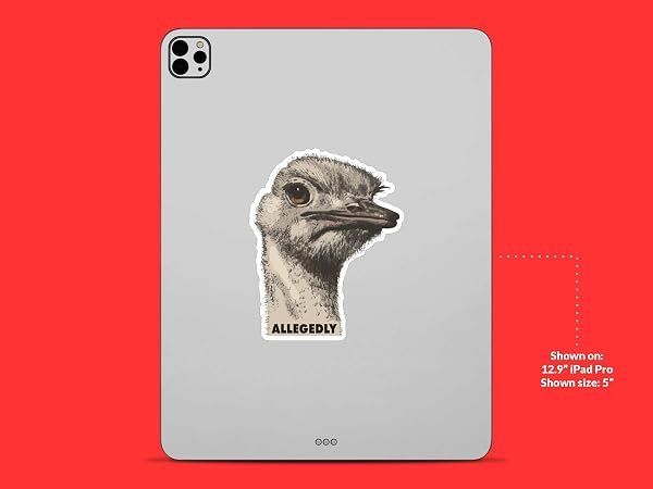 Allegedly-Ostrich-Letterkenny-Sticker-B0D1T8SSWG-8