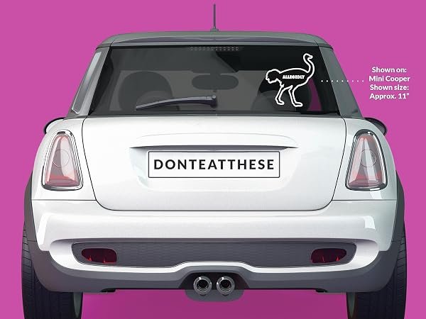 Allegedly-Ostrich-Letterkenny-sticker-B0D1T7R8WN-5