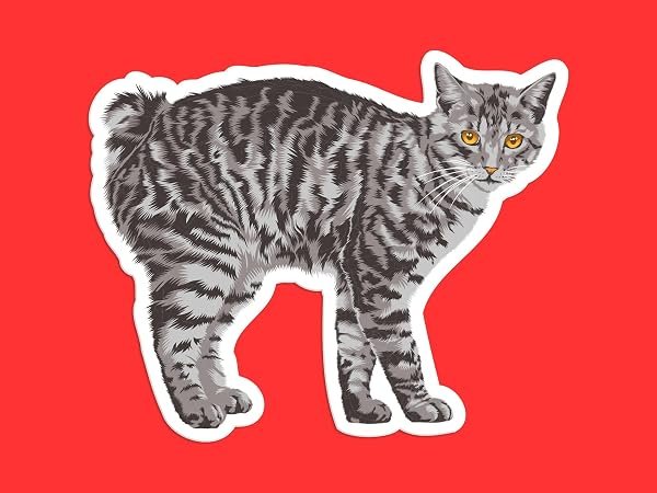 American-Bobtail-Cat-Sticker-B0D1TW7QB9