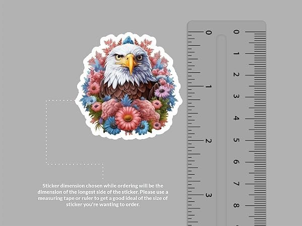 Bald-Eagle-Sticker-B0D1TD7YGH-2