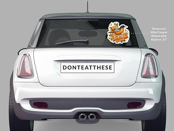 Baltimore-Oriole-Bird-Sticker-B0D1SZHW28-5