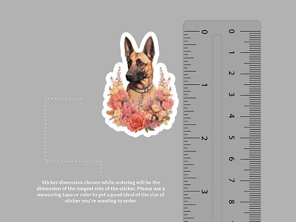 Belgian-Shepherd-Dog-Sticker-B0D1T8KMRQ-2