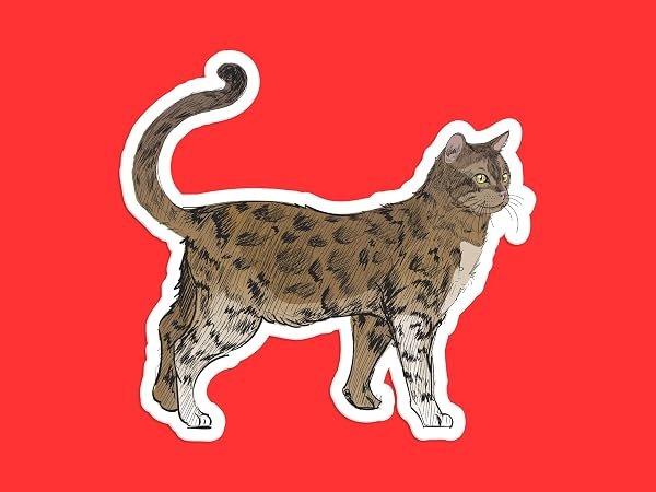 Bengal-Cat-Sticker-B0D1TXFPG7