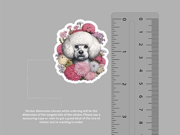 Bichon-Frise-Dog-Sticker-B0D1SXB2RC-2