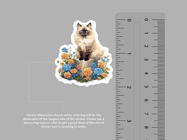 Birman-Cat-Sticker-B0D1T8STDT-2