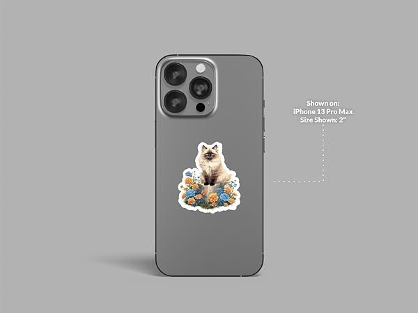 Birman-Cat-Sticker-B0D1T8STDT-3