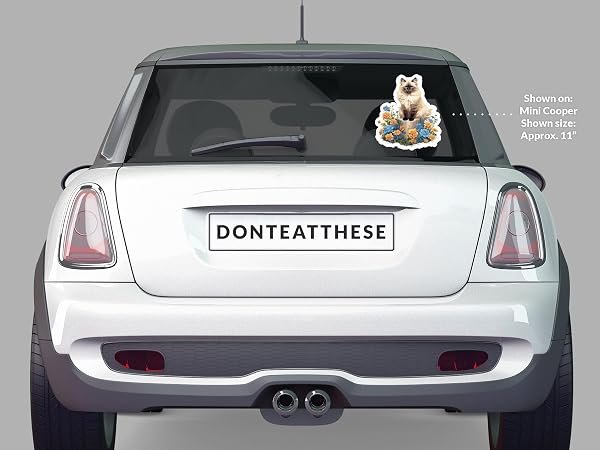 Birman-Cat-Sticker-B0D1T8STDT-5