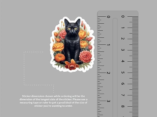 Black-Cat-Sticker-B0D1T1N4X6-2