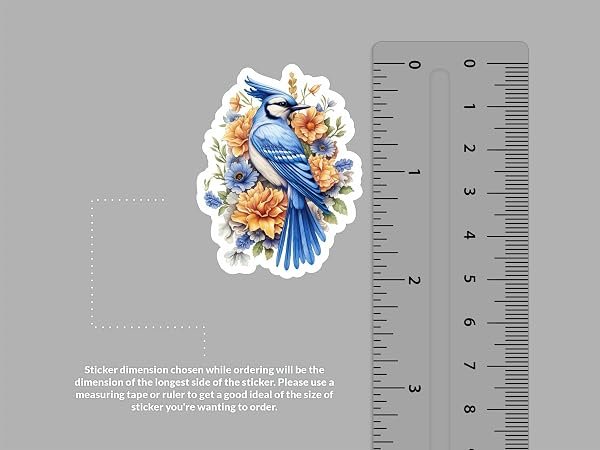 Blue-Jay-Sticker-B0D1T3N6YB-2