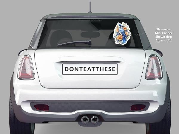 Blue-Jay-Sticker-B0D1T3N6YB-5