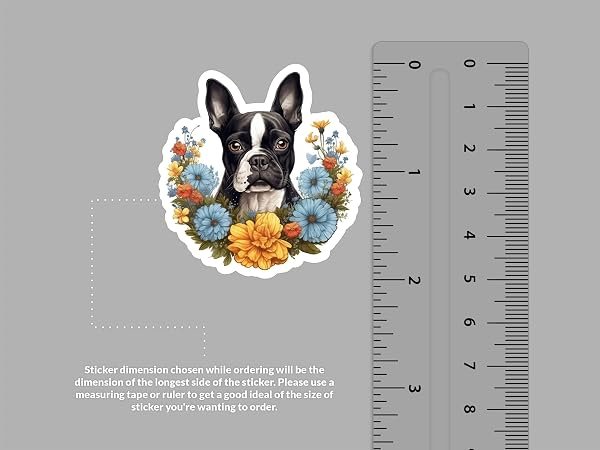 Boston-Terrier-Dog-Sticker-B0D1T4LSXD-2