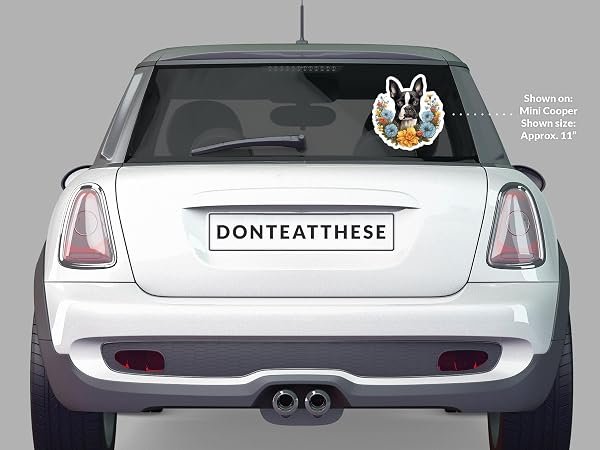 Boston-Terrier-Dog-Sticker-B0D1T4LSXD-5