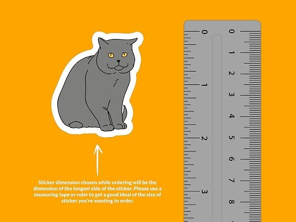 British-Shorthair-Cat-Sticker-B0D1V3747M-2