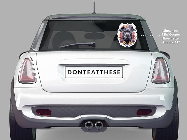 Cane-Corso-Dog-Sticker-B0D1TBQ1TT-5
