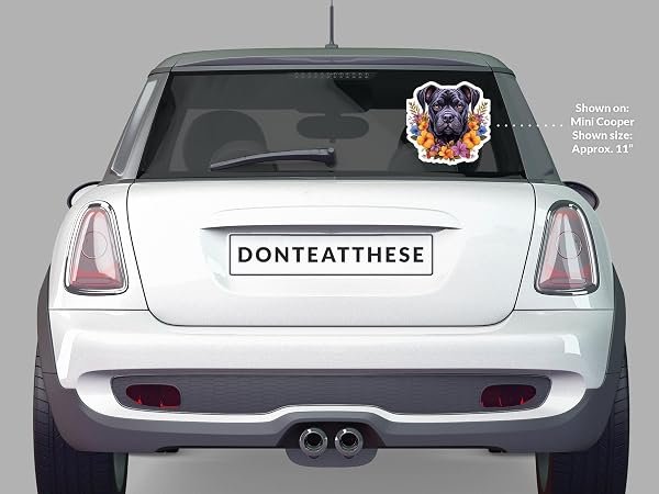 Cane-Corso-Dog-Sticker-B0D1TJ2YWN-5