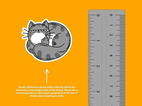 Cat-Middle-Finger-Sticker-B0D1TJ2B7S-2