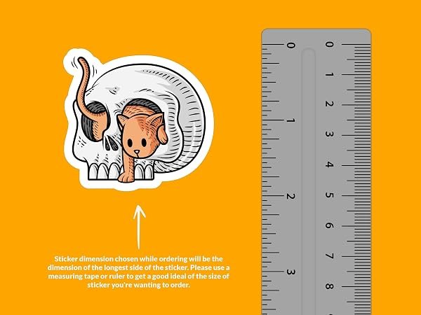 Cat-Skull-Sticker-B0D1TQ2VVW-3