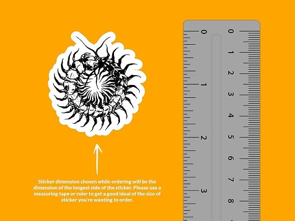 Centipede-Sticker-B0D1TJ1KSR-2