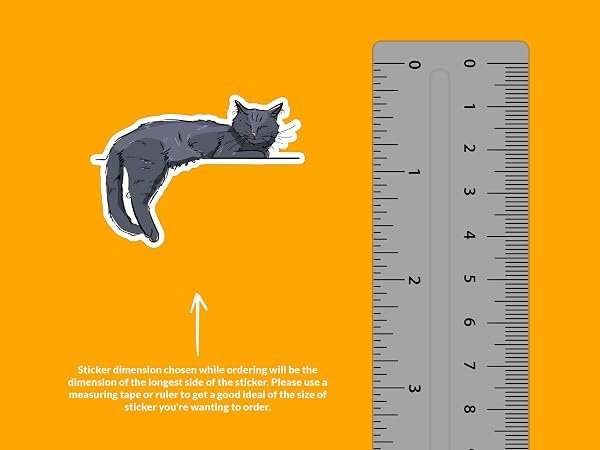 Cute-Cat-Sticker-B0D1TGF1HZ-2