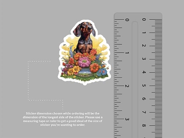 Dachshund-Dog-Sticker-B0D1T8PQ3V-2