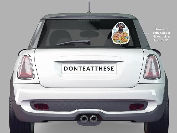 Dachshund-Sticker-B0D1TQPY57-5