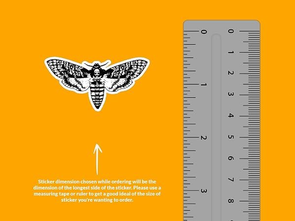 Deaths-Head-Hawkmoth-Sticker-B0D1V73KJJ-2