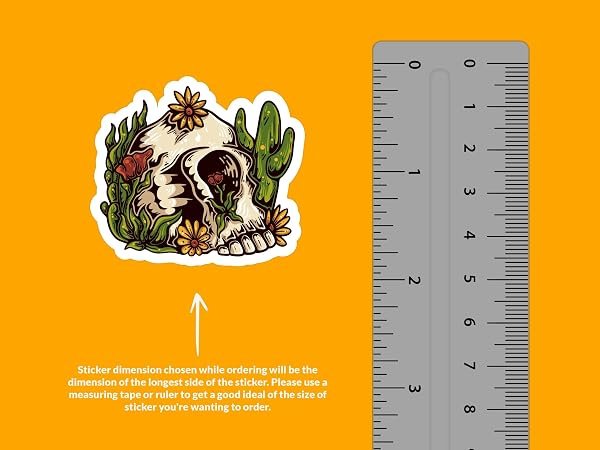 Desert-Skull-Sticker-B0D1TYK2M7-3