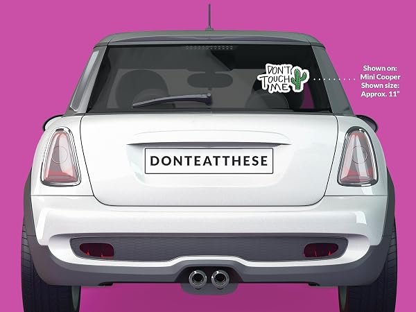 Dont-Touch-Me-Cactus-Sticker-B0D1T5BKCY-4