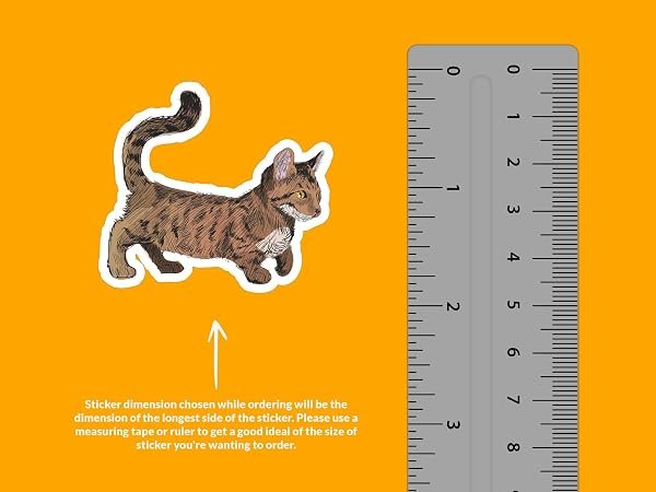 Dwarf-Cat-Sticker-B0D1V44YV1-2