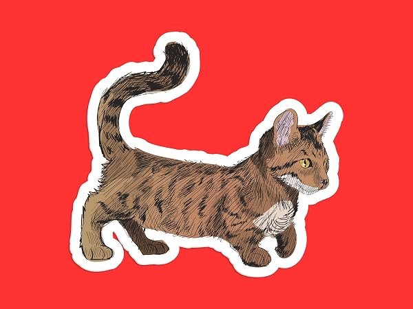 Dwarf-Cat-Sticker-B0D1V44YV1