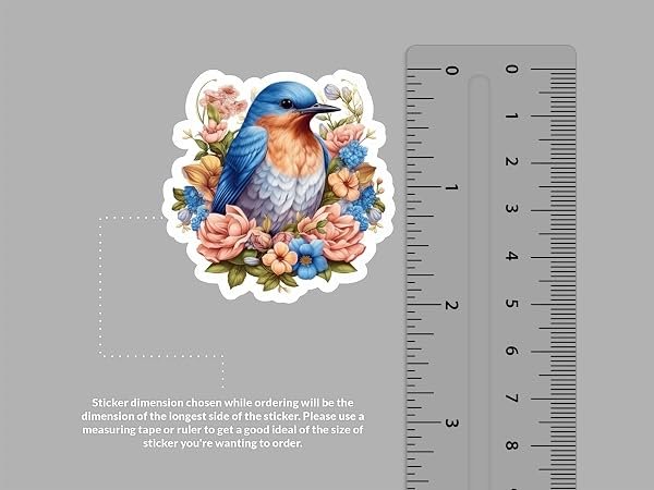 Eastern-Bluebird-Sticker-B0D1T7J1RD-2